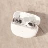 Bose earbuds accessories