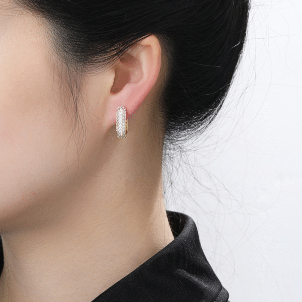 Wholesale Gold Planted Huggie Hoop Trendy Earrings for Women 2025 Micro Pave CZ Small Hoop 925 Silver Jewelry