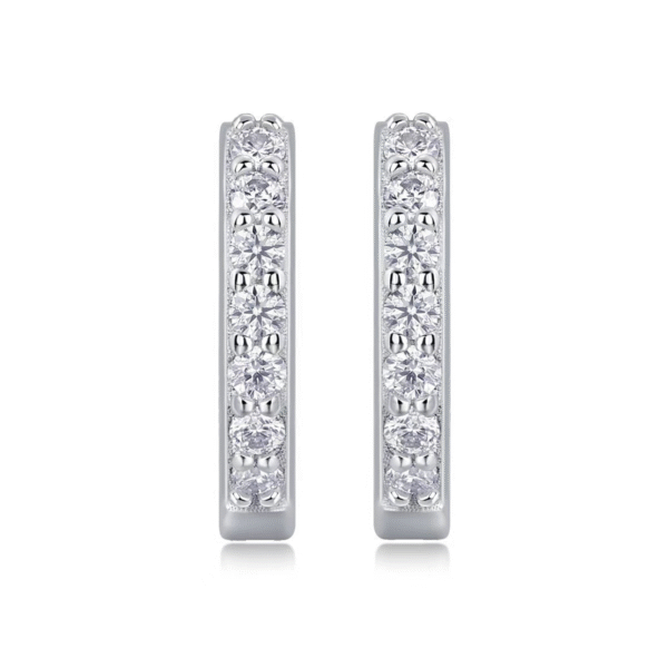 hypoallergenic earrings hoops