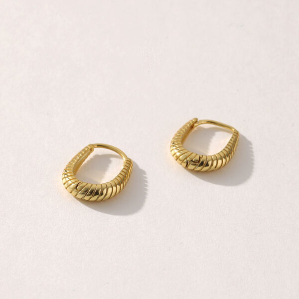 Wholesale Custom 18k Gold Plated Gold Earrings, Korean 925 Silver Fashion Gold Jewelry, High Quality Hoop Earrings for Women